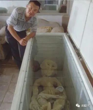 电死外星人，山东小伙被行政拘留5天