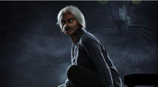 猫脸老太太,灵异事件真相究竟是什么?(有视频)