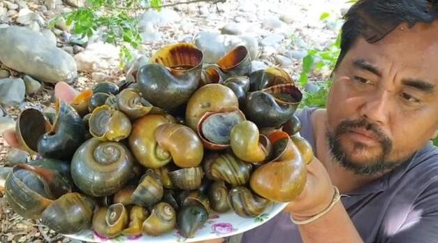 福寿螺吃了会死人吗,没熟吃了可能会死人(熟了能吃)